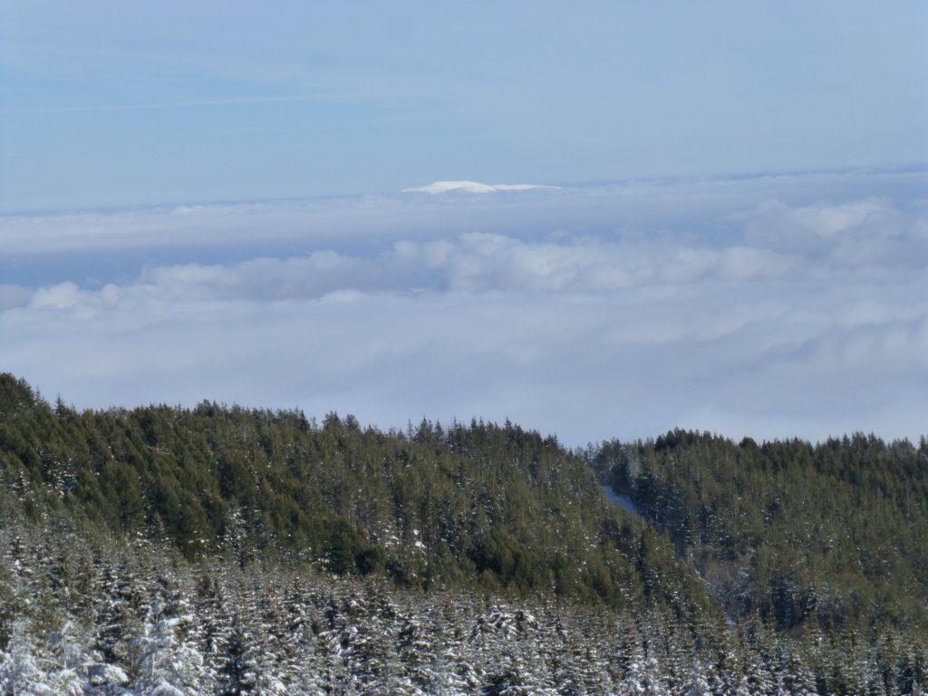 photo15.jpg
