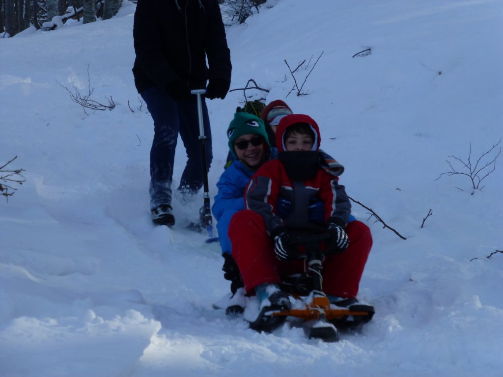 photo61.jpg