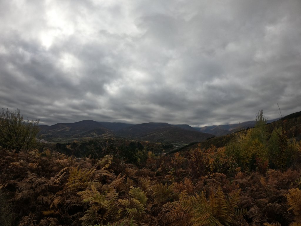 photo8.jpg