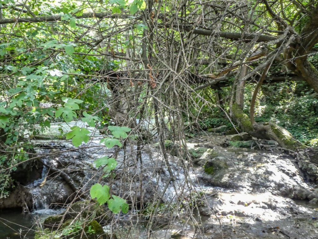 photo20.jpg
