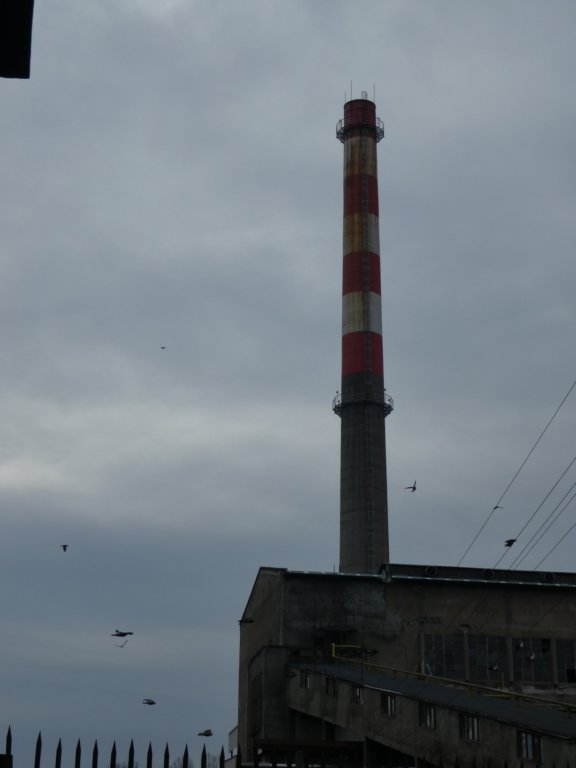 photo11.jpg