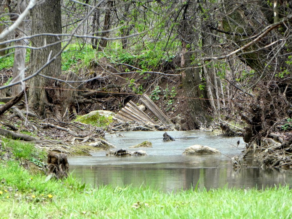 photo25.jpg