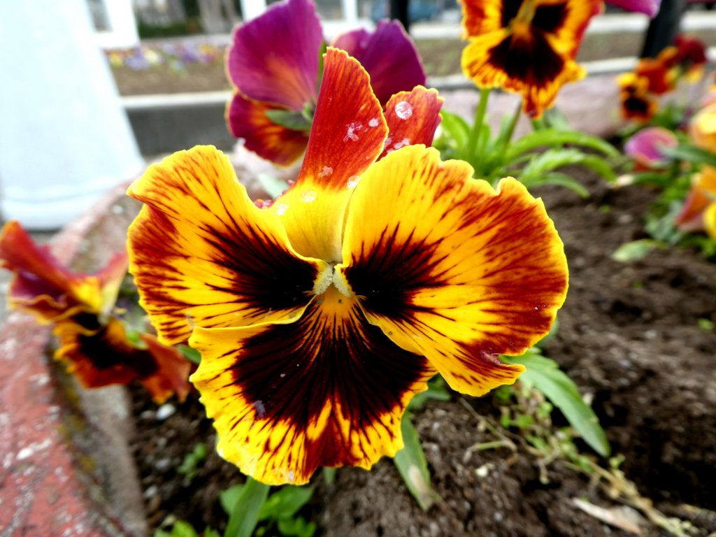 photo4.jpg