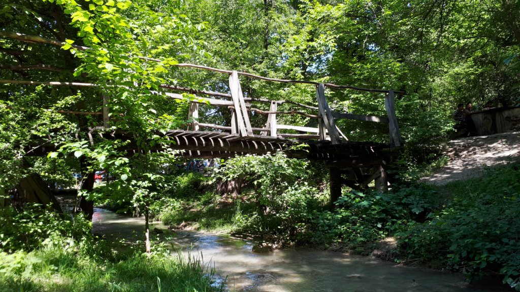 photo30.jpg