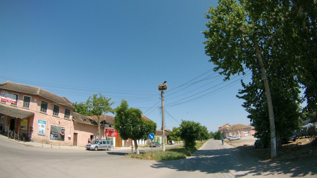 photo4.jpg
