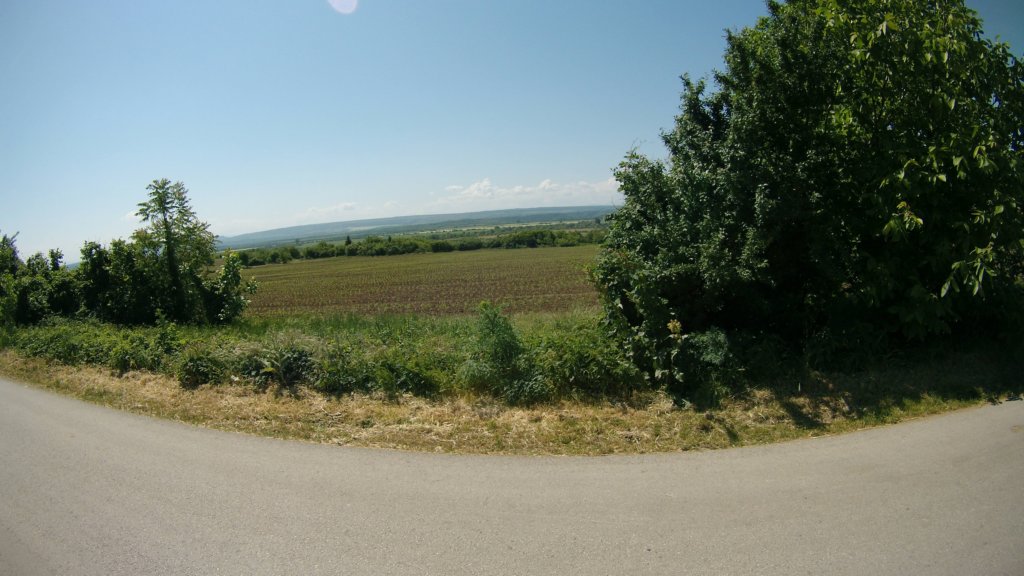 photo9.jpg