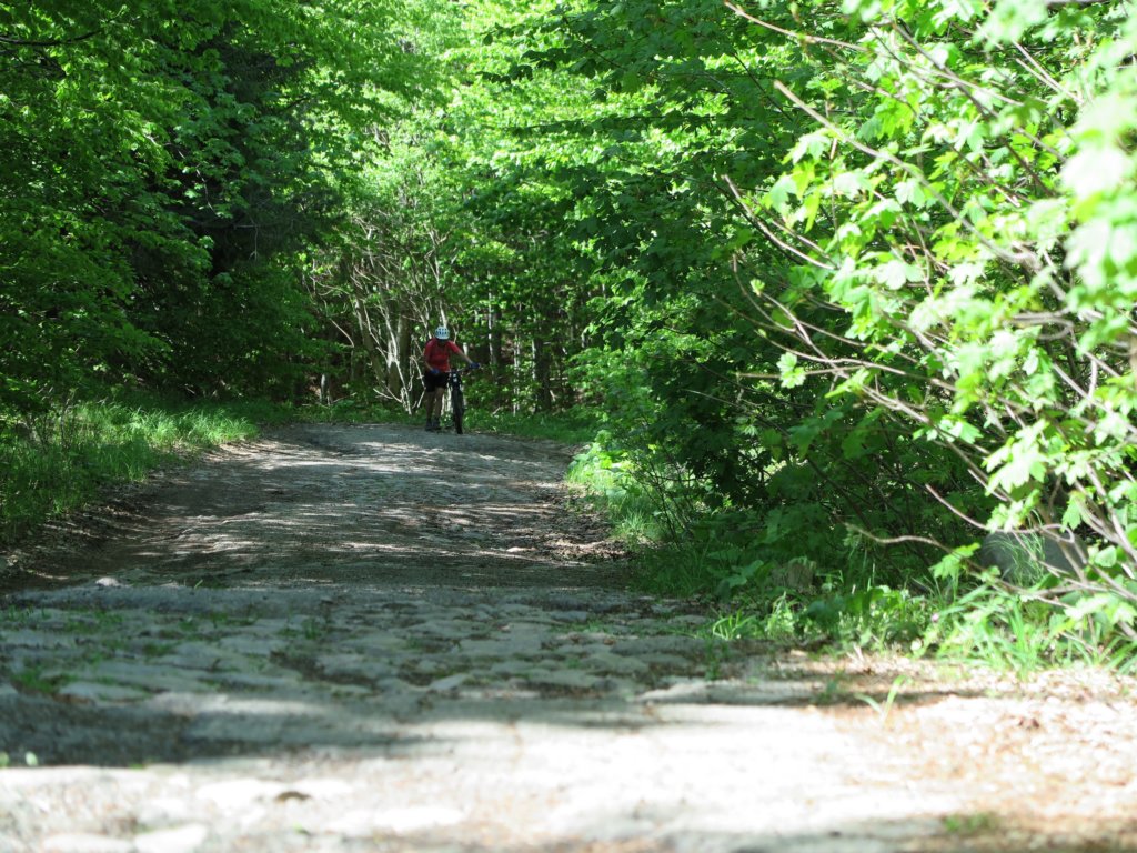photo44.jpg