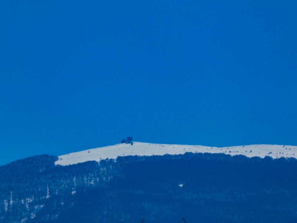 photo11.jpg