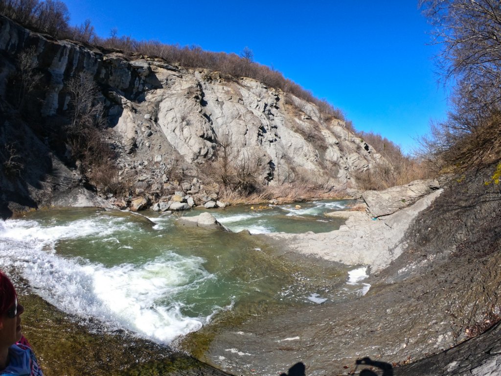 photo22.jpg