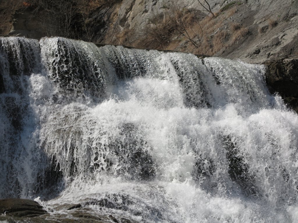 photo6.jpg