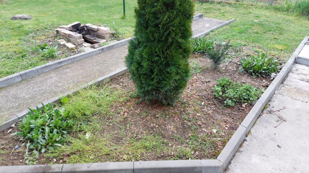 photo83.jpg