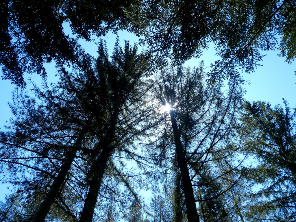 photo43.jpg