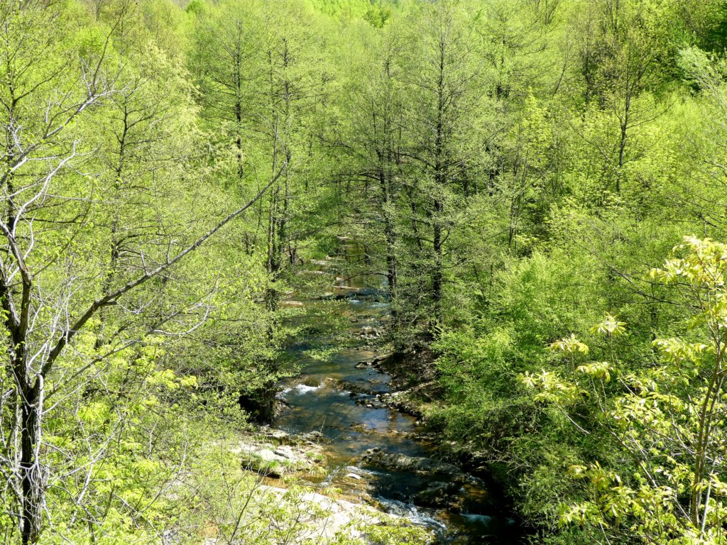 photo54.jpg