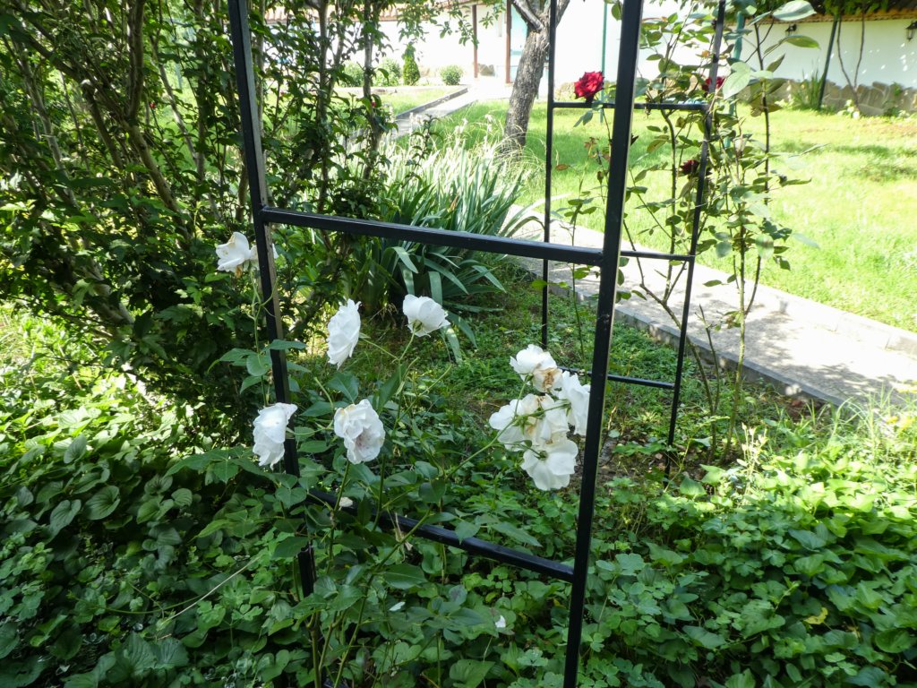 photo13.jpg
