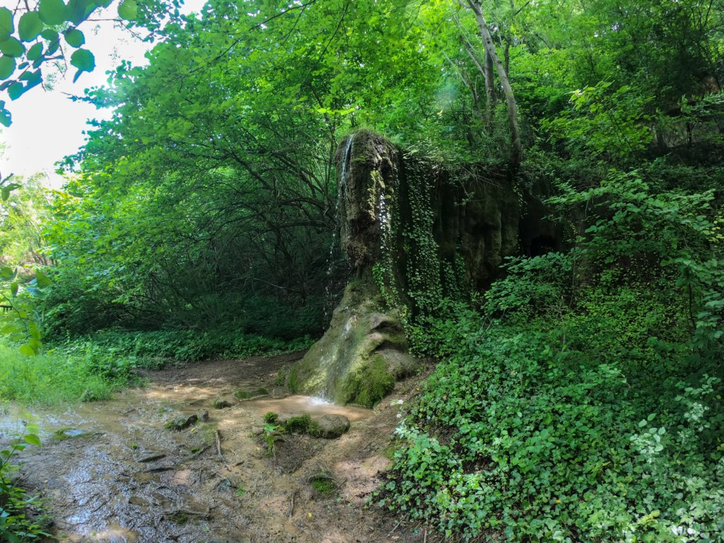 photo44.jpg