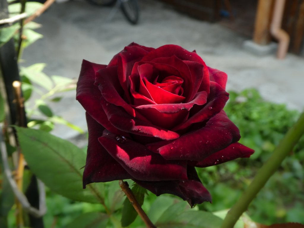 photo5.jpg