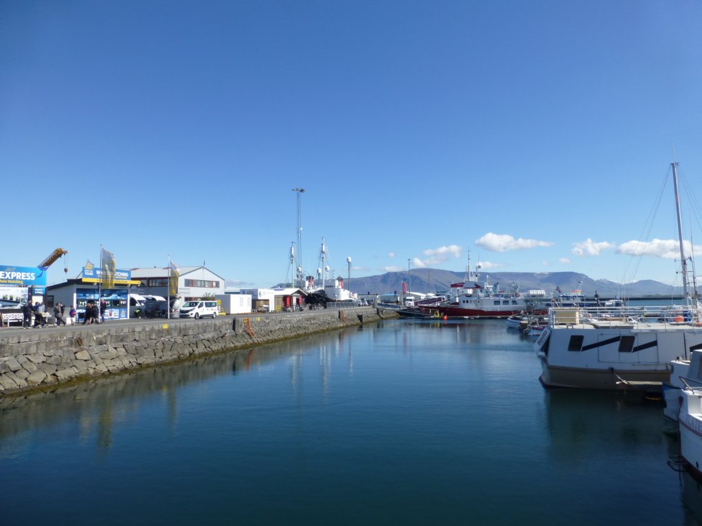 photo35.jpg