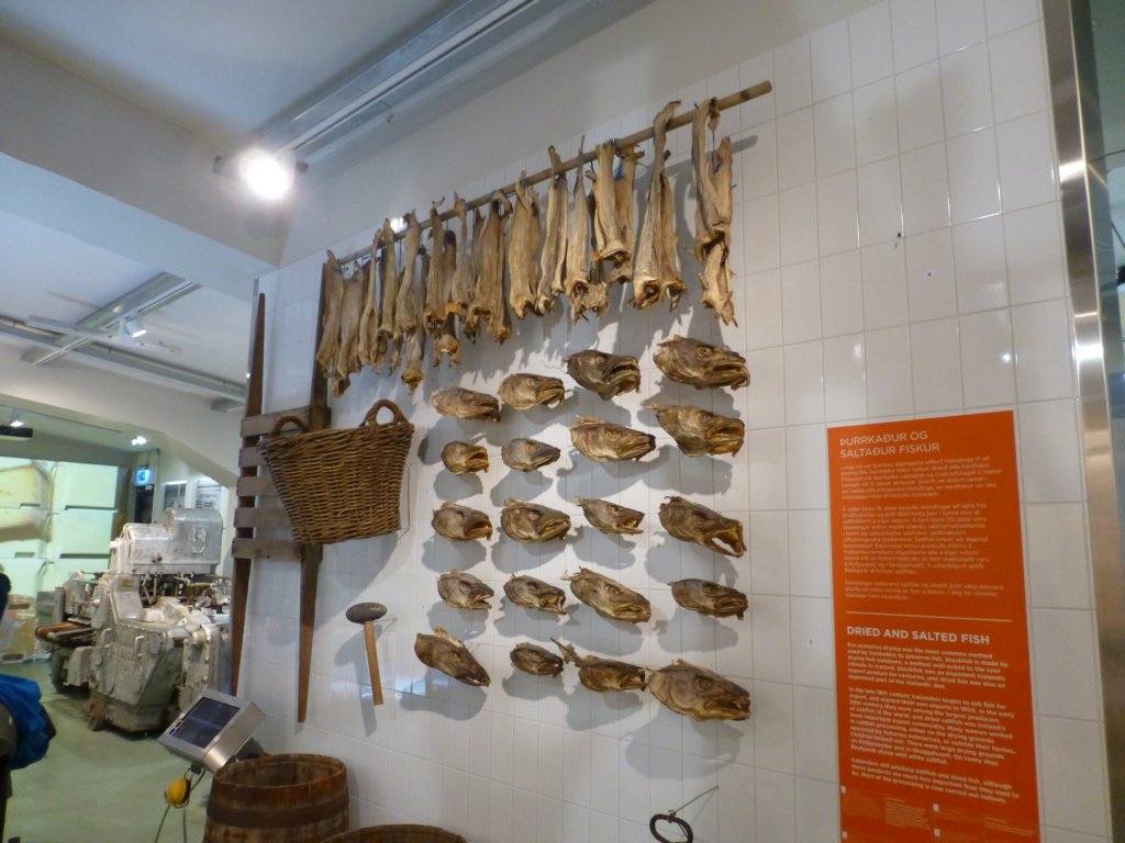 photo67.jpg