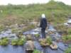 bruarfoss5_small.jpg