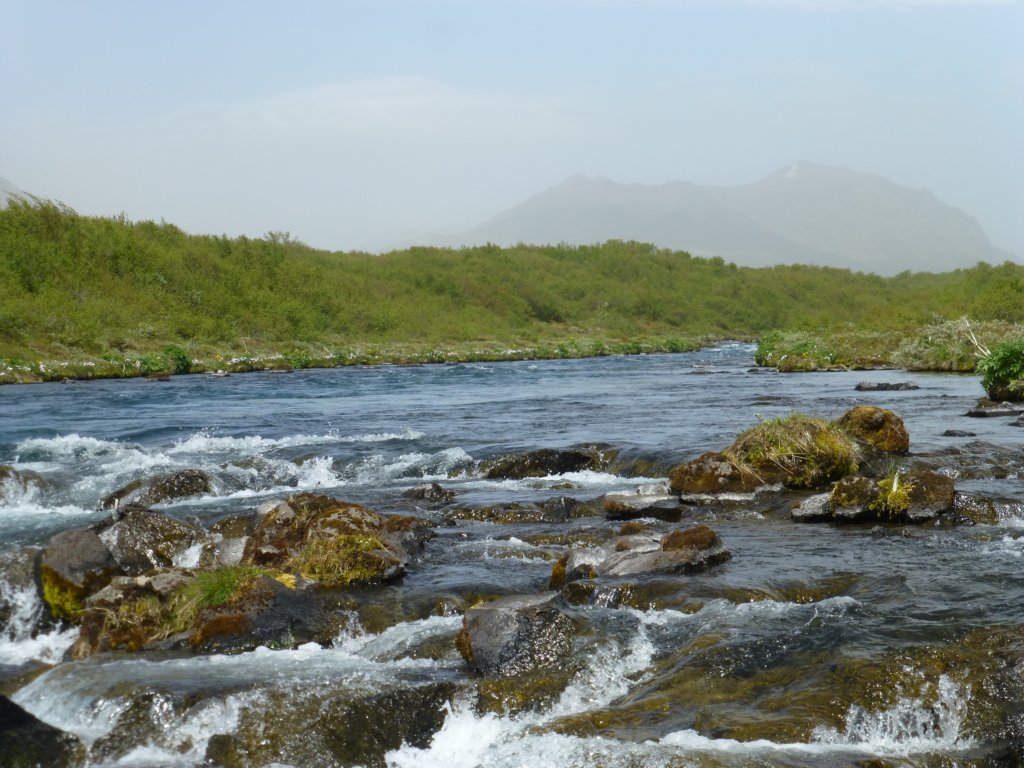 midfoss5.jpg