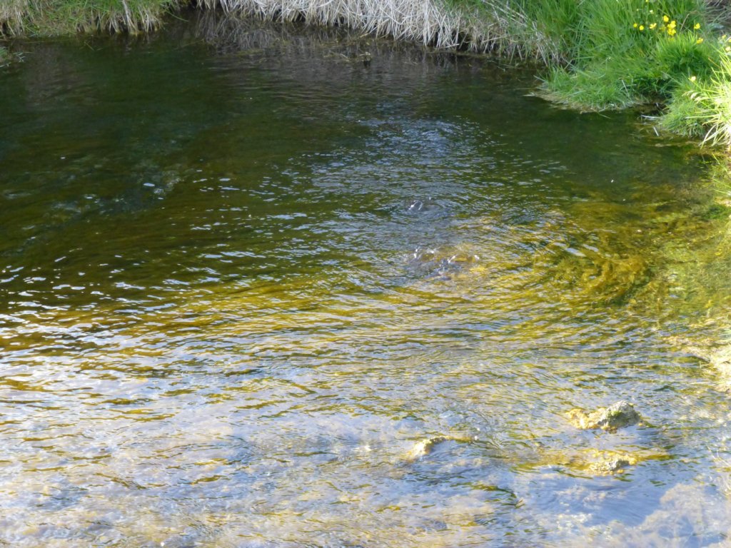 photo13.jpg
