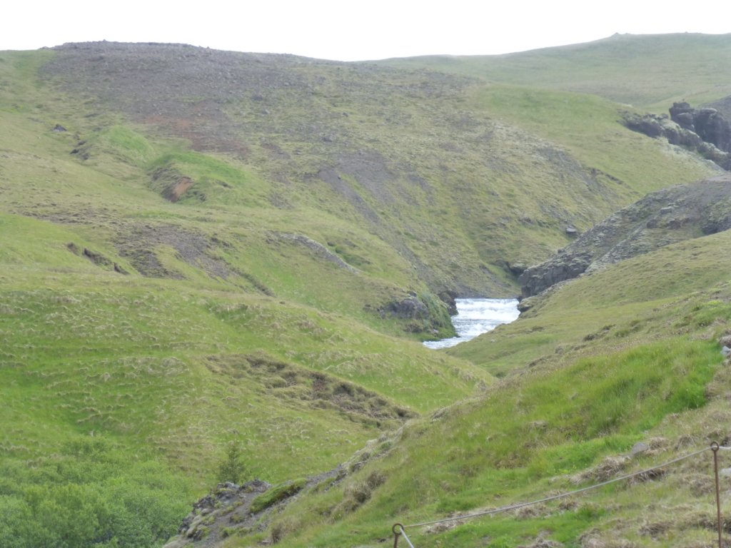 skogarivertrailpath.jpg