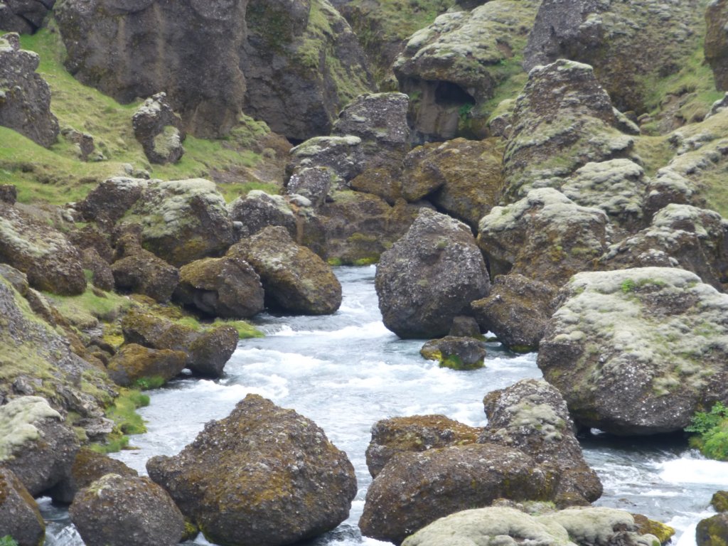 skogarivertrailpath14.jpg