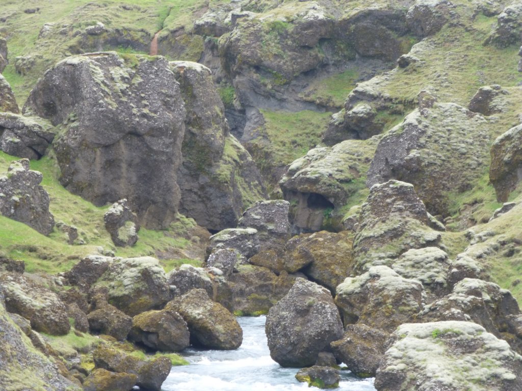 skogarivertrailpath15.jpg