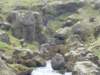 skogarivertrailpath15_small.jpg