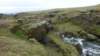 skogarivertrailpath29_small.jpg