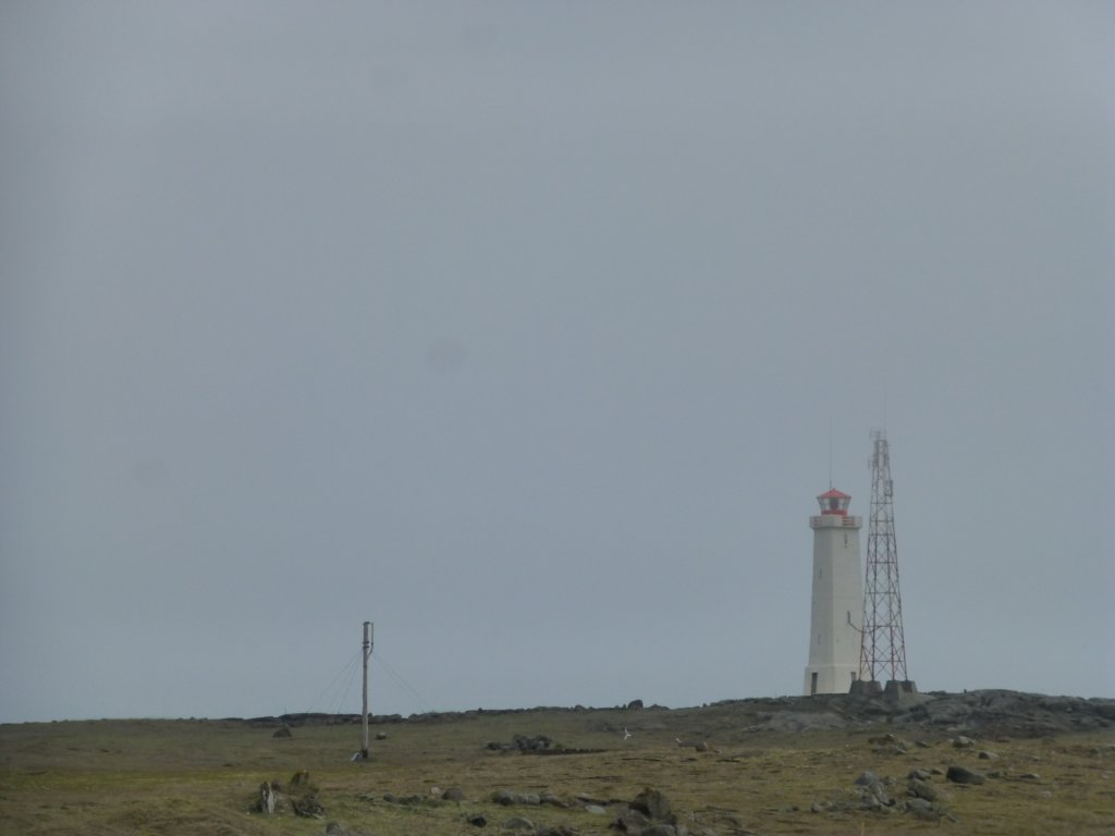 photo4.jpg