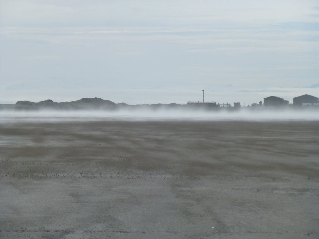 photo8.jpg