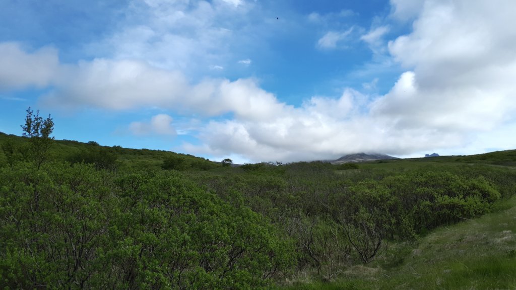 svartifoss14.jpg