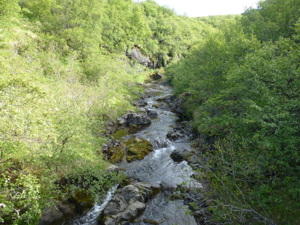 svartifoss2.jpg