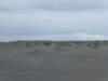 vestrahorn43_small.jpg
