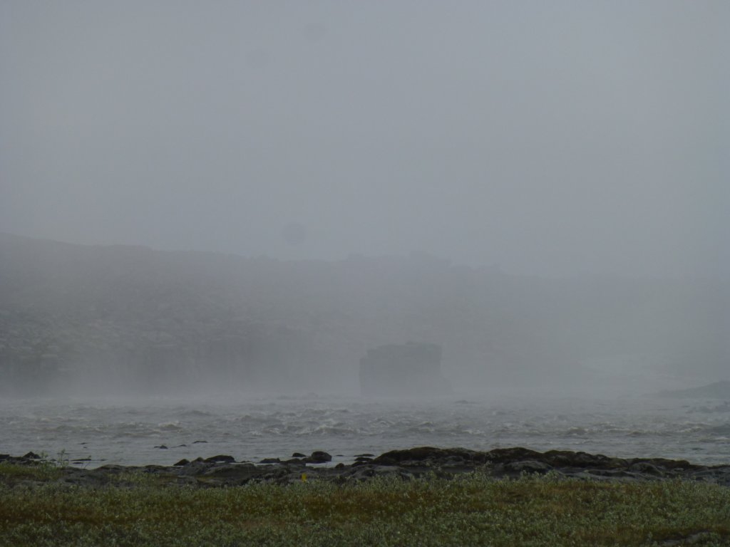 selfoss10.jpg
