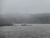 selfoss2_small.jpg