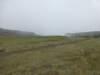 selfoss5_small.jpg