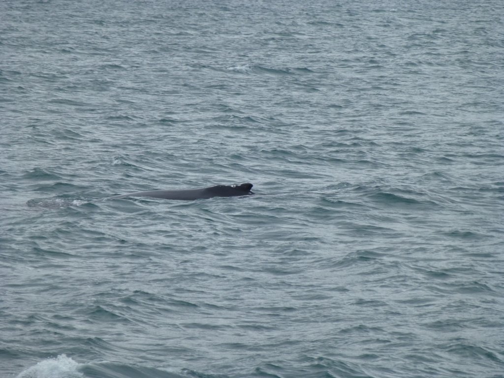 eyjafjrur33.jpg