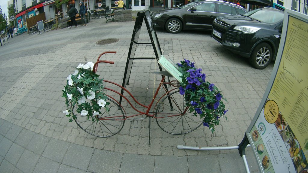 photo14.jpg