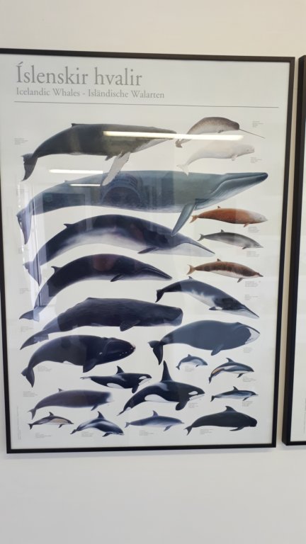photo2.jpg