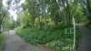 photo49_small.jpg