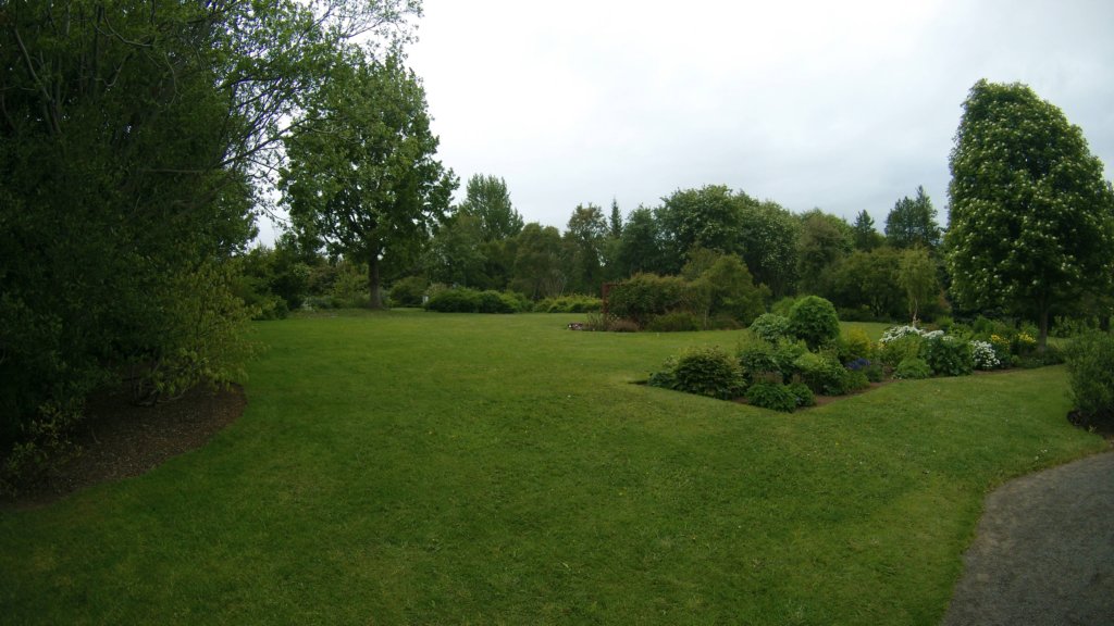 photo60.jpg