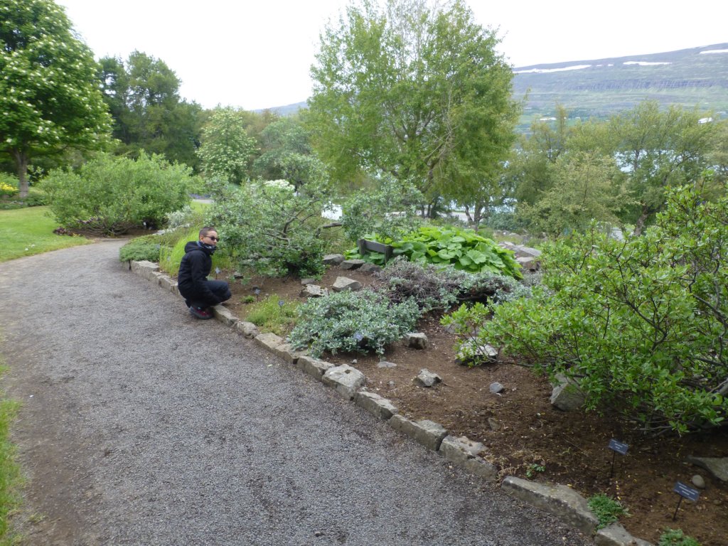 photo61.jpg