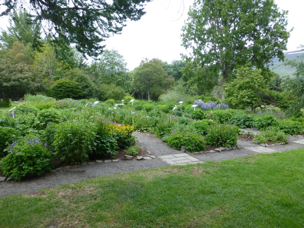 photo63.jpg
