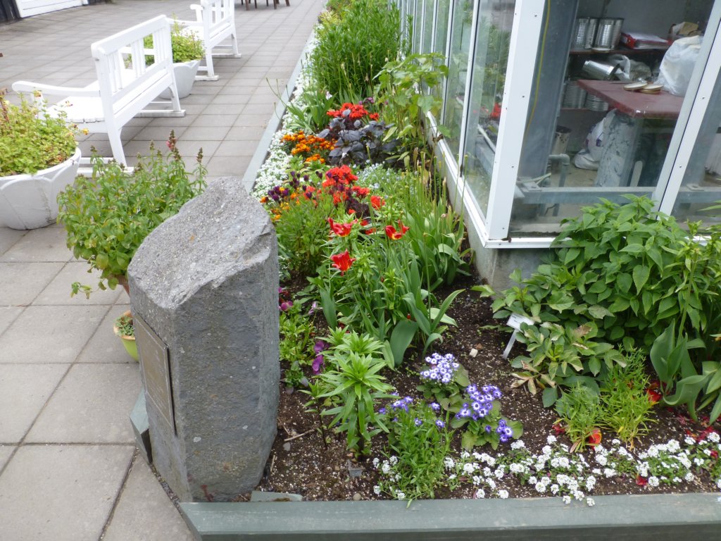 photo67.jpg