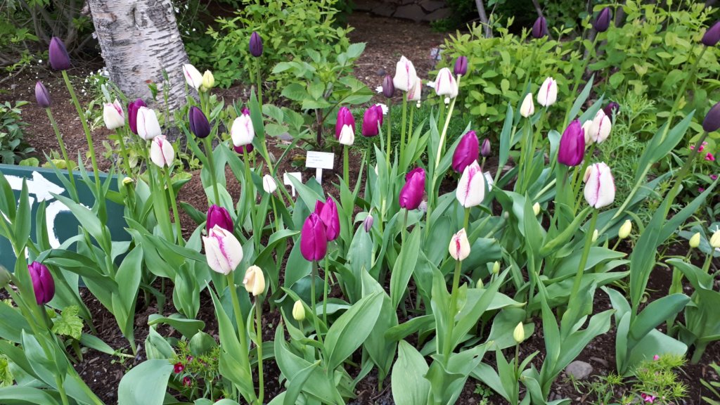 photo71.jpg