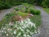 photo78_small.jpg