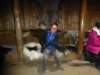 eiriksstadirvikinglonghouse13_small.jpg