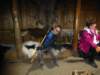 eiriksstadirvikinglonghouse14_small.jpg